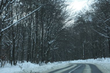 karlı bir ormanda yol