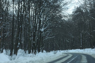 karlı bir ormanda yol