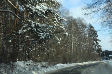 karlı bir ormanda yol