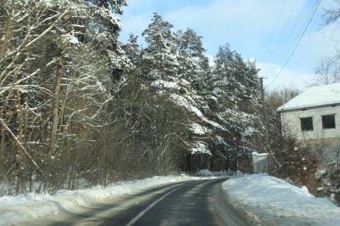 karlı bir ormanda yol