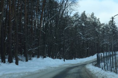 karlı bir ormanda yol