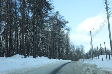 karlı bir ormanda yol