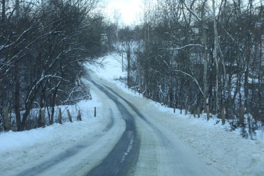 karlı bir ormanda yol