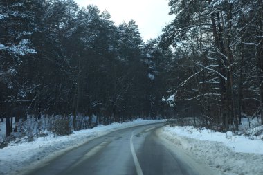 karlı bir ormanda yol