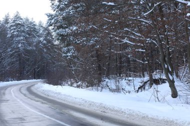 karlı bir ormanda yol
