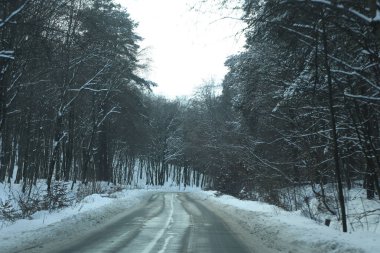karlı bir ormanda yol