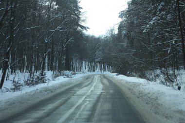 karlı bir ormanda yol