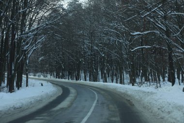 karlı bir ormanda yol