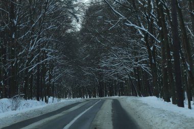 karlı bir ormanda yol
