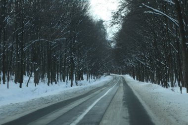 karlı bir ormanda yol