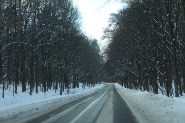 karlı bir ormanda yol