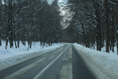 karlı bir ormanda yol