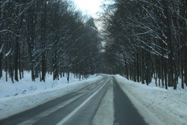 karlı bir ormanda yol