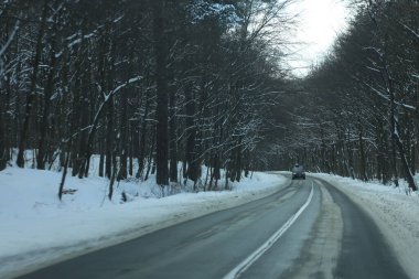 karlı bir ormanda yol