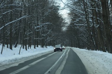 karlı bir ormanda yol
