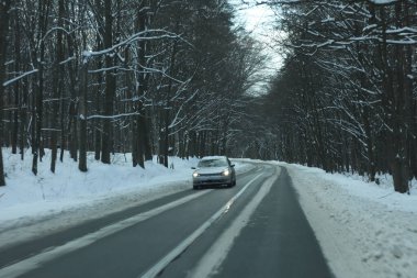 karlı bir ormanda yol