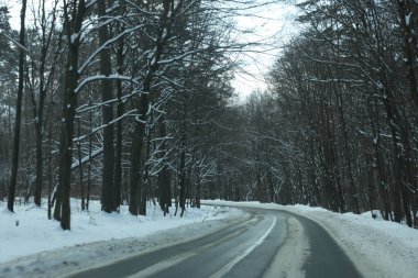 karlı bir ormanda yol