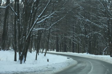 karlı bir ormanda yol