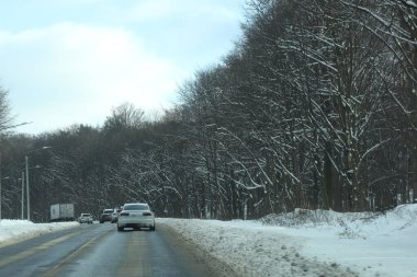 karlı bir ormanda yol
