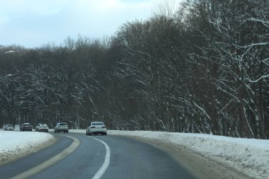 karlı bir ormanda yol