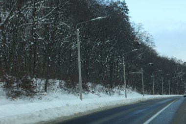 karlı bir ormanda yol