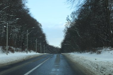 karlı bir ormanda yol