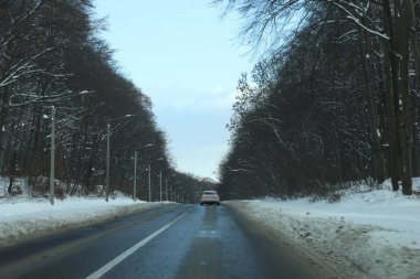 karlı bir ormanda yol