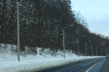 karlı bir ormanda yol