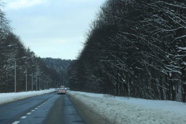 karlı bir ormanda yol