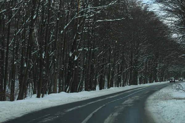 karlı bir ormanda yol