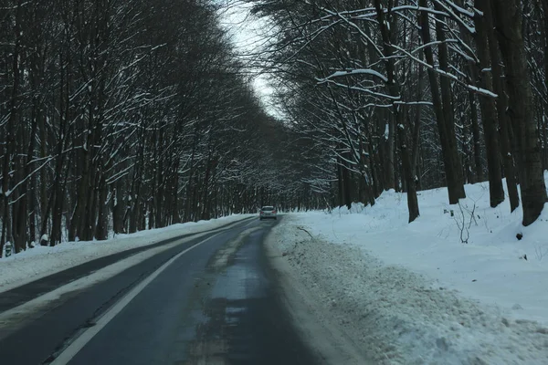 karlı bir ormanda yol