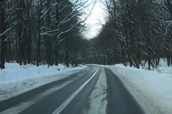 karlı bir ormanda yol