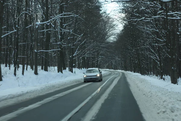 karlı bir ormanda yol