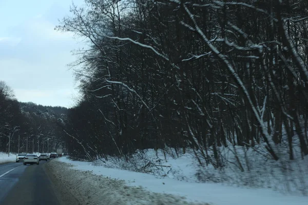 karlı bir ormanda yol