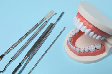 Mavi arkaplan üzerinde temizlik ve inceleme araçları ile diş modeli, PNG