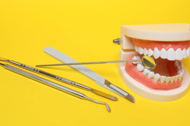 Sarı arkaplan üzerinde temizlik ve inceleme araçları ile diş modeli, PNG