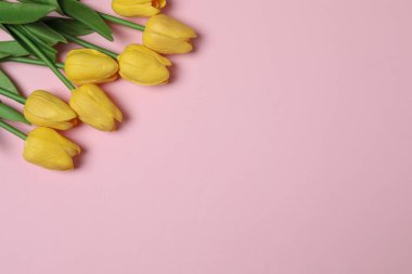 8 Mart, Uluslararası Kadınlar Günü, bir buket lale ve hediye kutusu, arka planda üst manzara, PNG