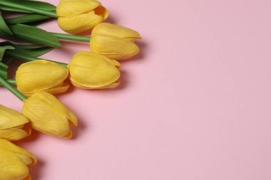 8 Mart, Uluslararası Kadınlar Günü, bir buket lale ve hediye kutusu, arka planda üst manzara, PNG