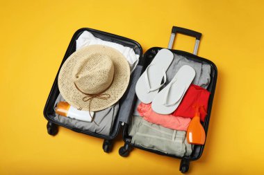 Bavul, valiz, yaz seyahati ve tatil için bavul