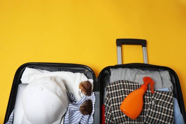 Bavul, valiz, yaz seyahati ve tatil için bavul