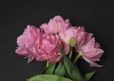 Renkli arkaplanda bir buket lale, metin için yer