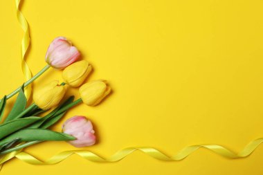 Renkli arka planlarda kurdeleli renkli laleler