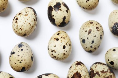 Beyaz arka planda izole edilmiş testere yumurtaları