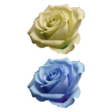 Düğün davetiyesi şablonları ve sosyal medya düzeni için el çizimi illüstrasyon sanatı 