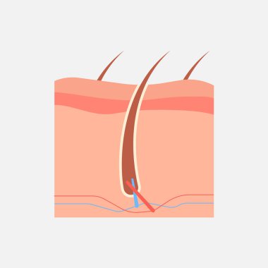  Sosyal medya paylaşımı için karikatür insan organları çizim sanat tasarımı 