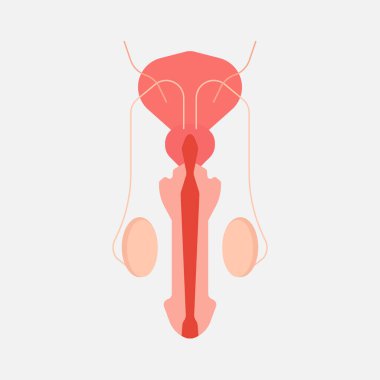  Sosyal medya paylaşımı için karikatür insan organları çizim sanat tasarımı 