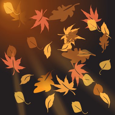 Gün batımında dağılan çok renkli sonbahar yaprakları