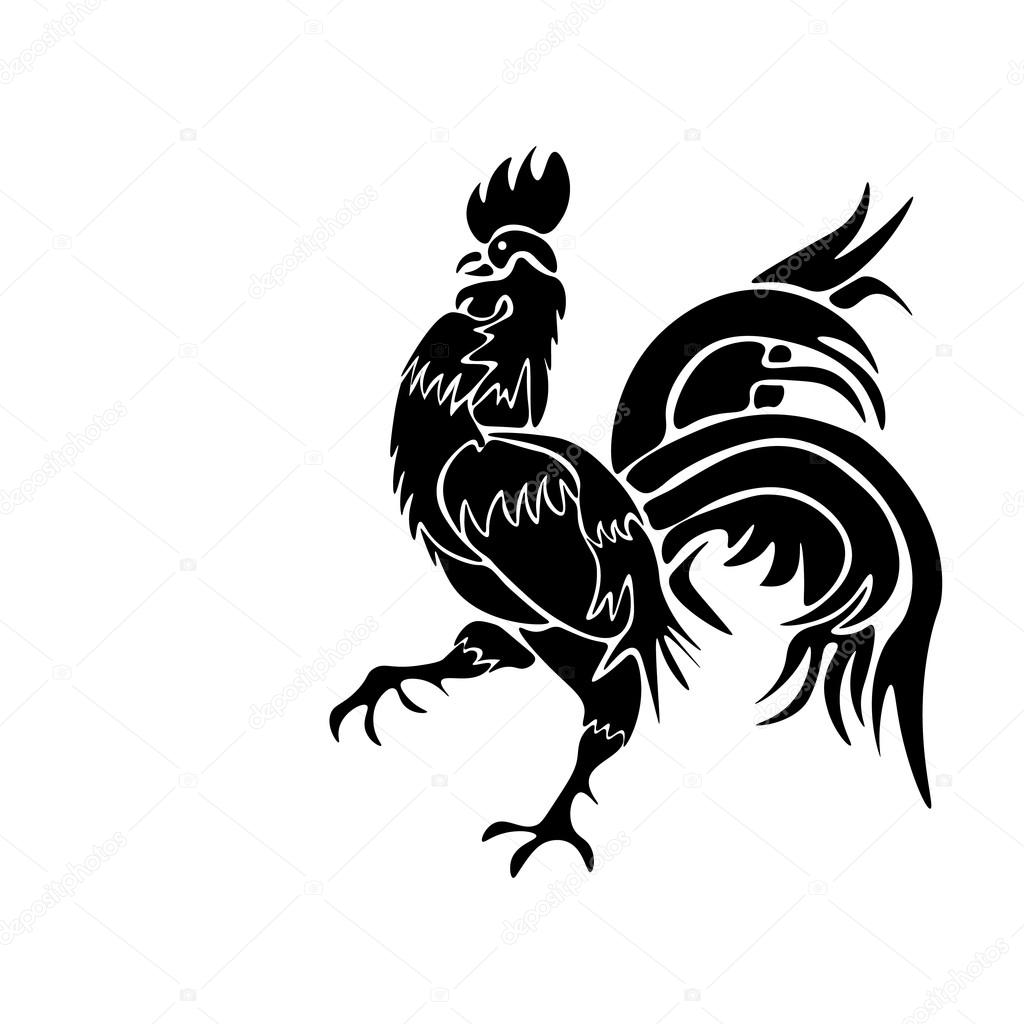 un gallo nero