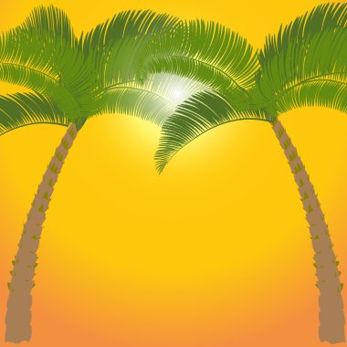 Turuncu arka planda iki palmiye ağacı. Illüstrasyon