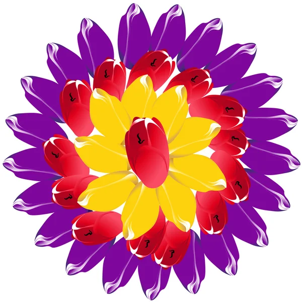 太陽ディスクの形で変化したチューリップの芽の花束. — ストックベクタ